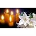 Shirley Gayle Simmons