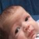 Logan Matthew Brock