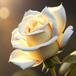 Mrs. Elizabeth M. (Minal) Bohling