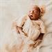 Baby Ivory Kate Landry