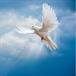 Daisy Alcon Paredes