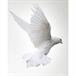 Norman M. Maillet