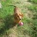 Rosita "Rosie" Wieners