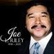 Joe L. Riley