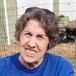 Mrs. Diane Walker Stahl