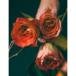 Theresa A. Robeck
