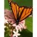 Joyce Marie Atchison