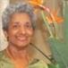 Saramma Sleeba