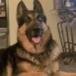 Caesar Von Hause Glover