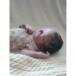 Teagan Ann Roze Lindbloom