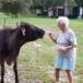 Ruth Ethel Bruno